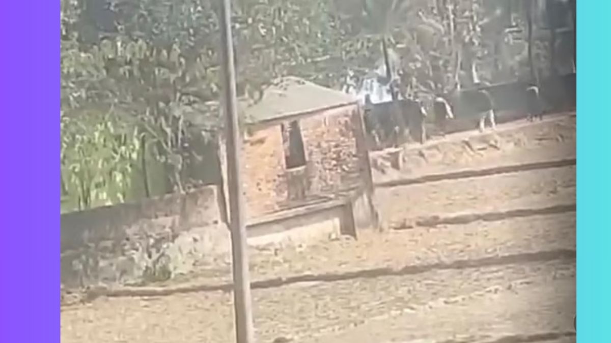 ভোটের আগের দিন রাউজানে প্রবাসী বিএনপি কর্মীর বাড়িতে গুলি