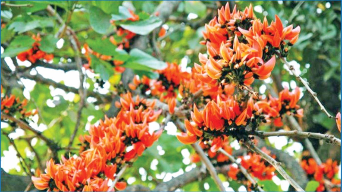 আজ বসন্ত, ভালোবাসার ক্ষণ