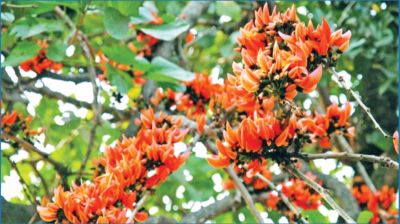 আজ বসন্ত, ভালোবাসার ক্ষণ