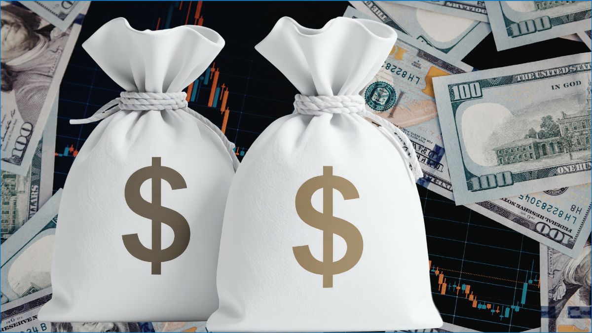 ৬ মাসের খাদ্য মজুত ও ২৯ বিলিয়ন ডলারের রিজার্ভ রেখে যাচ্ছে অন্তর্বর্তী সরকার