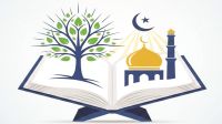 নবুওয়তের আলোকে কওমির সিলেবাস পুনর্গঠন হোক