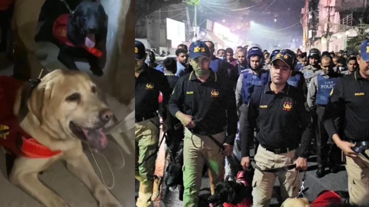 জেনেভা ক্যাম্পে পুলিশ-সোয়াট-ডগ স্কোয়াডের চিরুনি অভিযান