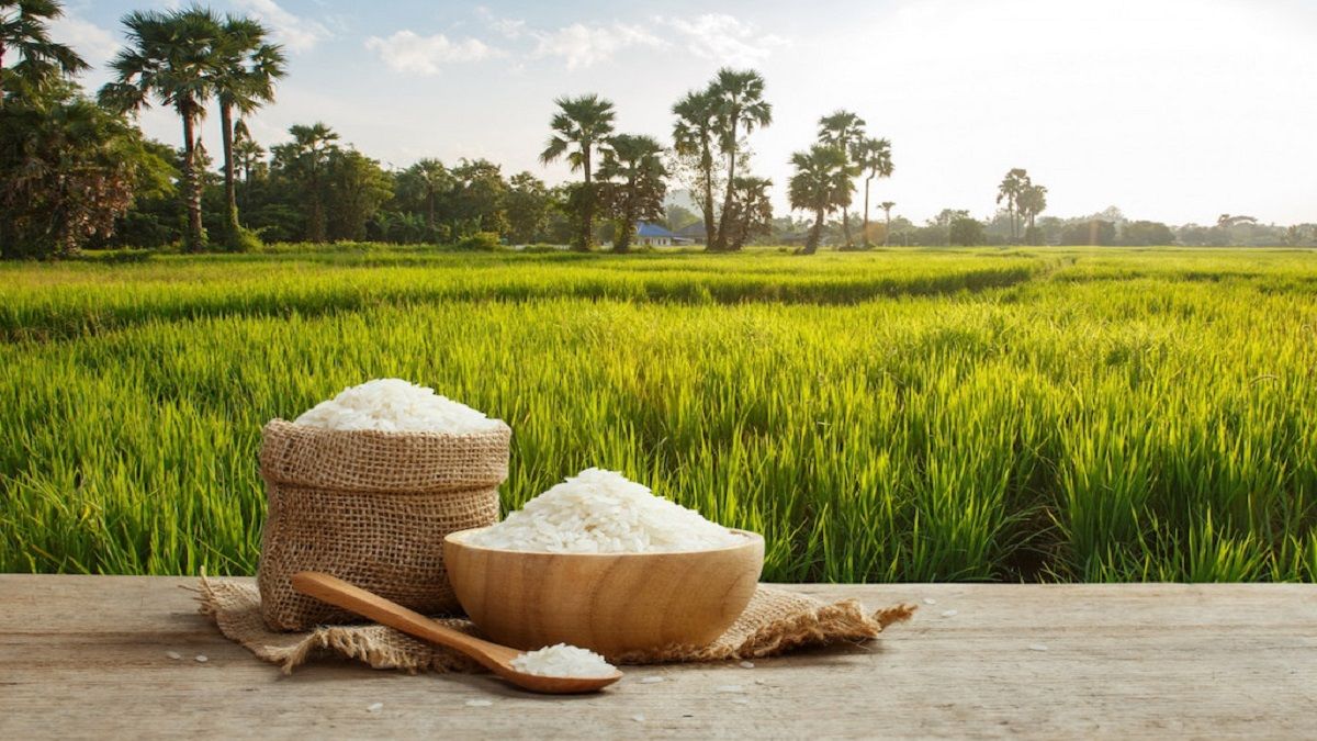 ব্যয় বাড়ায় কমছে উৎপাদন