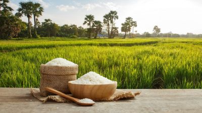 ব্যয় বাড়ায় কমছে উৎপাদন