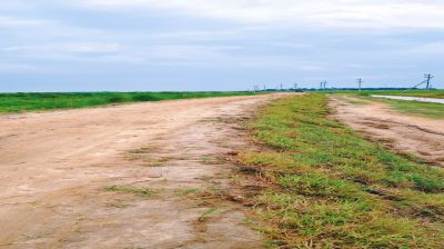 মদনে ফসল রক্ষা বাঁধের বিল না   পেয়ে বিপাকে বাঁধ সংস্কার কমিটি