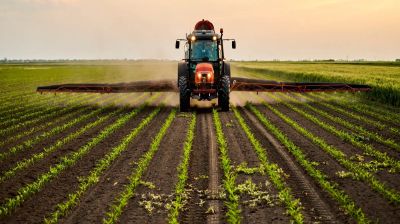 মধ্যপ্রাচ্যের অস্থিরতায় সারের দাম আকাশচুম্বী