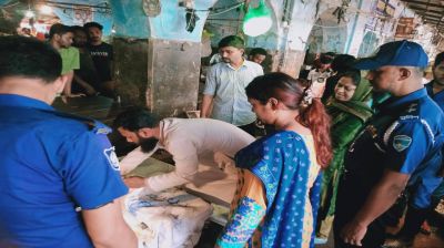 ব্রাহ্মণবাড়িয়ায় ৬০ কেজি জেলিযুক্ত   চিংড়ি মাছ ধ্বংস