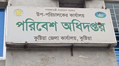 কুষ্টিয়ায় ১৯৬টি অবৈধ ইটভাটায়    অবাধে পুড়ছে কাঠ