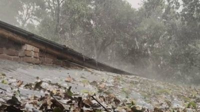 চাঁপাইনবাবগঞ্জে শিলাবৃষ্টিতে আমসহ  ফসলের ব্যাপক ক্ষতি