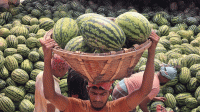 ভালো তরমুজ কিনতে চান?