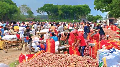 কুমারখালীর পেঁয়াজ হাটে অনিয়মের অভিযোগ
