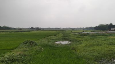 কুমিল্লায় জিয়ার আমলে খনন করা খাল বিলীন