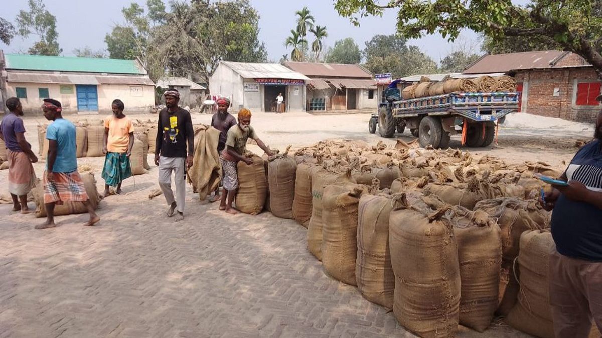 ফুলবাড়ীতে ধান-চালের বাজারে ধস, সংকটে কৃষক ও ব্যবসায়ীরা
