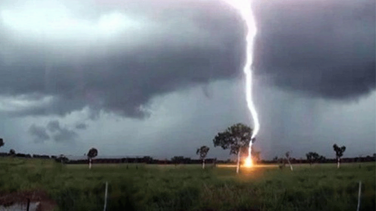 বজ্রপাতে চার জেলায় নয়জনের মৃত্যু