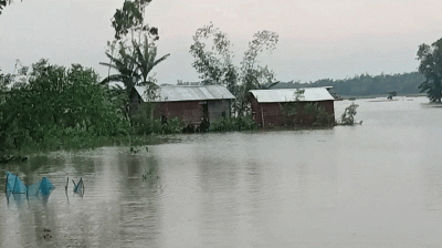 চার নদীর পানি বিপৎসীমার ওপরে, পাঁচ জেলায় বন্যার পূর্বাভাস