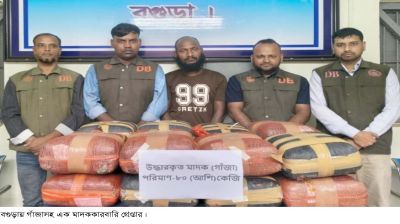 বগুড়ায় ৮০ কেজি গাঁজা  উদ্ধার, গ্রেপ্তার ১