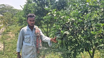 প্রবাসফেরত শরীফের সফলতার গল্প