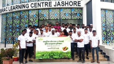 ব্র্যাক নার্সারির উদ্যোগে পেঁপে  চাষে আধুনিক প্রশিক্ষণ