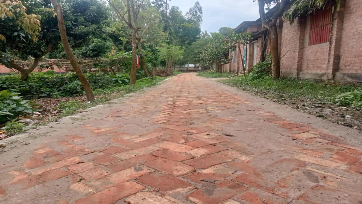 উন্নয়নের ছোঁয়ার বদলে গেছে পীরগঞ্জের গ্রামীণ জনপদ