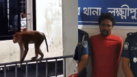 লক্ষ্মীপুরে খুনের মামলার আসামির সঙ্গে থানায় পোষা বানর, কৌতূহল