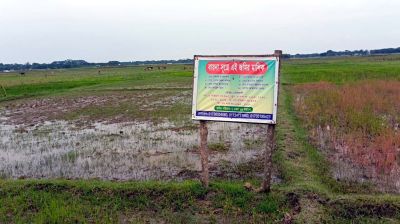 মহিপুরে প্রবাসীর জমি দখলের অভিযোগ