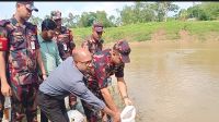 হবিগঞ্জে দুই কোটি টাকার গলদা  চিংড়ির রেণু জব্দ ও অবমুক্ত