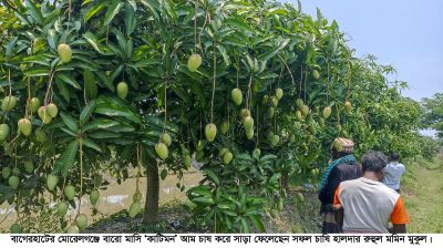 আত্মকর্মসংস্থানের স্বপ্ন থেকে কৃষকের সফলতার গল্প