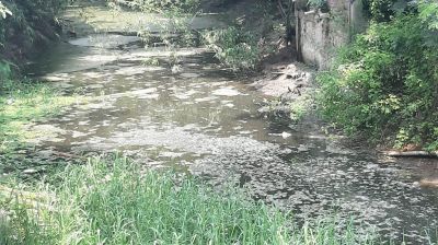 জলাবদ্ধ টরকী-বাসাইল খাল  এখন জীবাণুর ভাণ্ডার