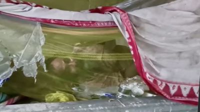 মহাসড়কের সেতুর নিচে অসহায়  বৃদ্ধের মানবেতর জীবন