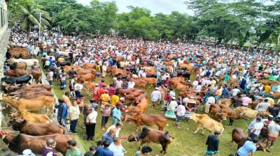 কোরবানির পশু থেকে মানুষে  ছড়াতে পারে প্রাণঘাতী রোগ