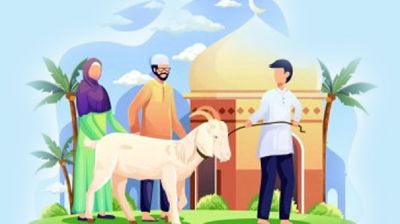 কোরবানি বাদ দিয়ে আকিকা করা যাবে কি?