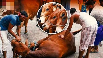 ‎ঈদুল আজহার দ্বিতীয় দিনেও চলছে পশু কোরবানি