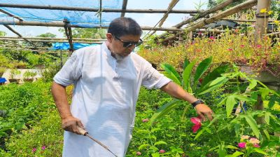 ৪৫ বছর ধরে বিনামূল্যে গাছ দিয়ে  বেড়াচ্ছেন মাদারীপুরে রাজন
