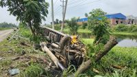 সোনারগাঁয়ে তেলবাহী কাভার্ড ভ্যান  খাদে: চালক নিহত, আহত ১