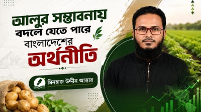 আলুর সম্ভাবনায় বদলে যেতে পারে বাংলাদেশের অর্থনীতি