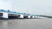 উজানের ঢলে বাড়ছে তিস্তার পানি