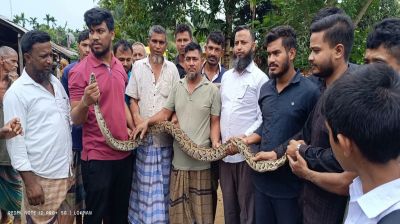 খাগড়াছড়িতে ৮ ফুট দৈর্ঘ্যের লম্বা অজগর উদ্ধার