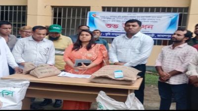 সরিষাবাড়ীতে ধানের  বীজ ও সার বিতরণ