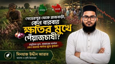 কেন বারবার ক্ষতির মুখে পেঁয়াজচাষী