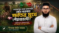কেন বারবার ক্ষতির মুখে পেঁয়াজচাষী