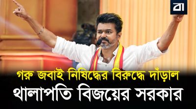 থালাপতি বিজয়ের বড় চাল! গরু জ*বাই নিষিদ্ধের বিরুদ্ধে কেন সুপ্রিম কোর্টে সরকার?