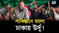 পাকিস্তানের করাচিতে ৩০ লাখ মানুষ বাংলায় কথা বলে