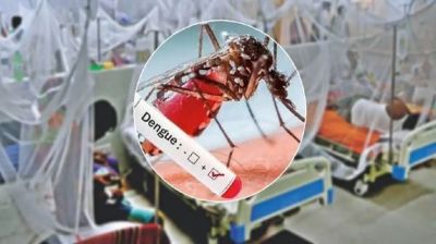 ডেঙ্গুতে আরও ৩ জনের মৃত্যু, আক্রান্ত ২৫১