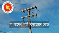 বাংলাদেশ পল্লী বিদ্যুতায়ন বোর্ডে ১৪৬০ পদে বড় নিয়োগ