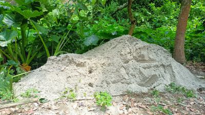 আলফাডাঙ্গায় পাউবোর খাল দখল  করে বালু ভরাটের অভিযোগ