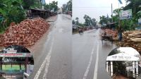 যে কারণে মহাসড়কের বার্থী  এলাকা মৃত্যুফাঁদে পরিণত