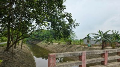 কুষ্টিয়ায় খাল পুনর্খখননে ভাগ্য  বদলের স্বপ্নে কৃষকরা