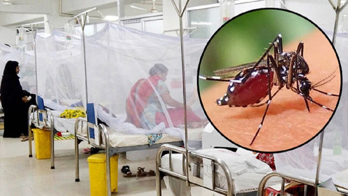 ডেঙ্গুতে ২৪ ঘণ্টায় আরও ২ মৃত্যু, হাসপাতালে ৩০৬