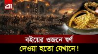 বাইতুল হিকমাহ: সভ্যতার সবচেয়ে বড় ক্ষতি, যা আজও পূরণ হয়নি