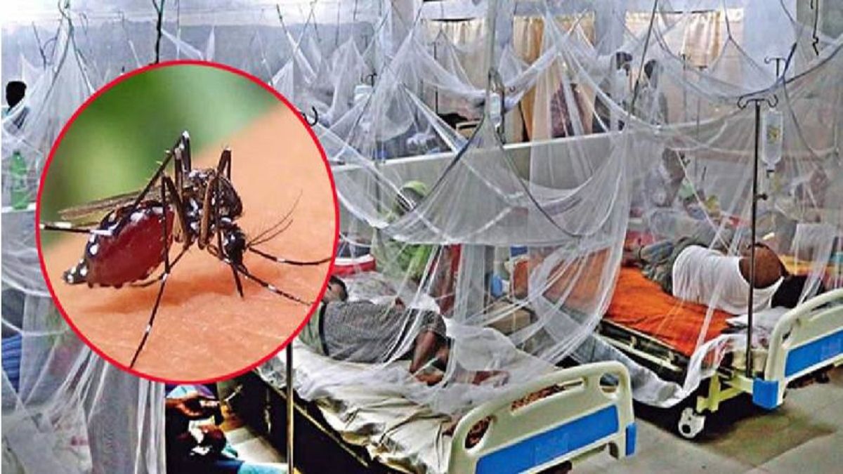 ডেঙ্গুতে আরও একজনের মৃত্যু, হাসপাতালে ভর্তি ৪৭৩